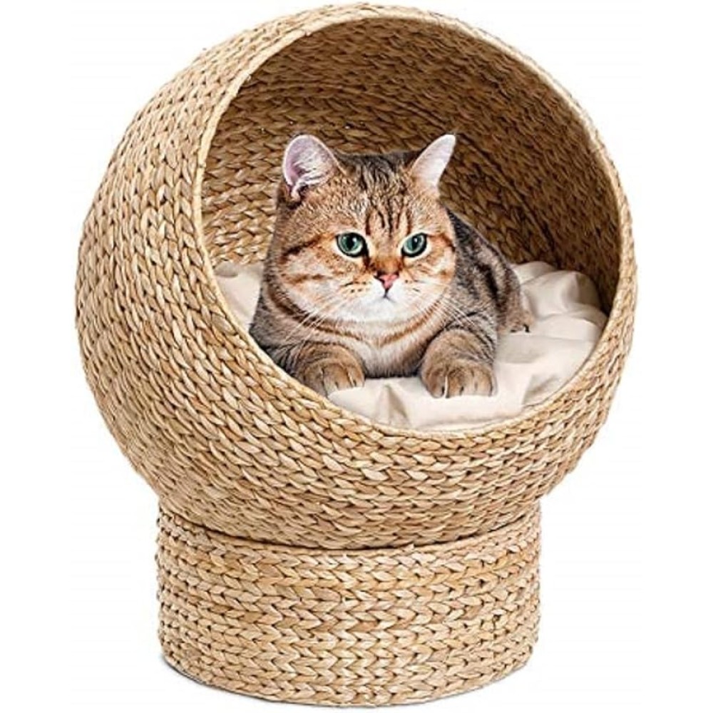 Karlie Φωλιά γάτας