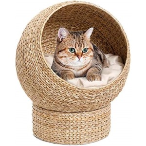 Karlie Φωλιά γάτας