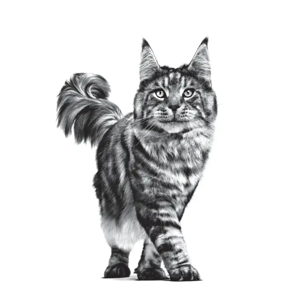 Royal Canin Gastrointestinal Cat 400gr