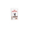 Royal Canin Gastrointestinal Feline In Gravy 85gr