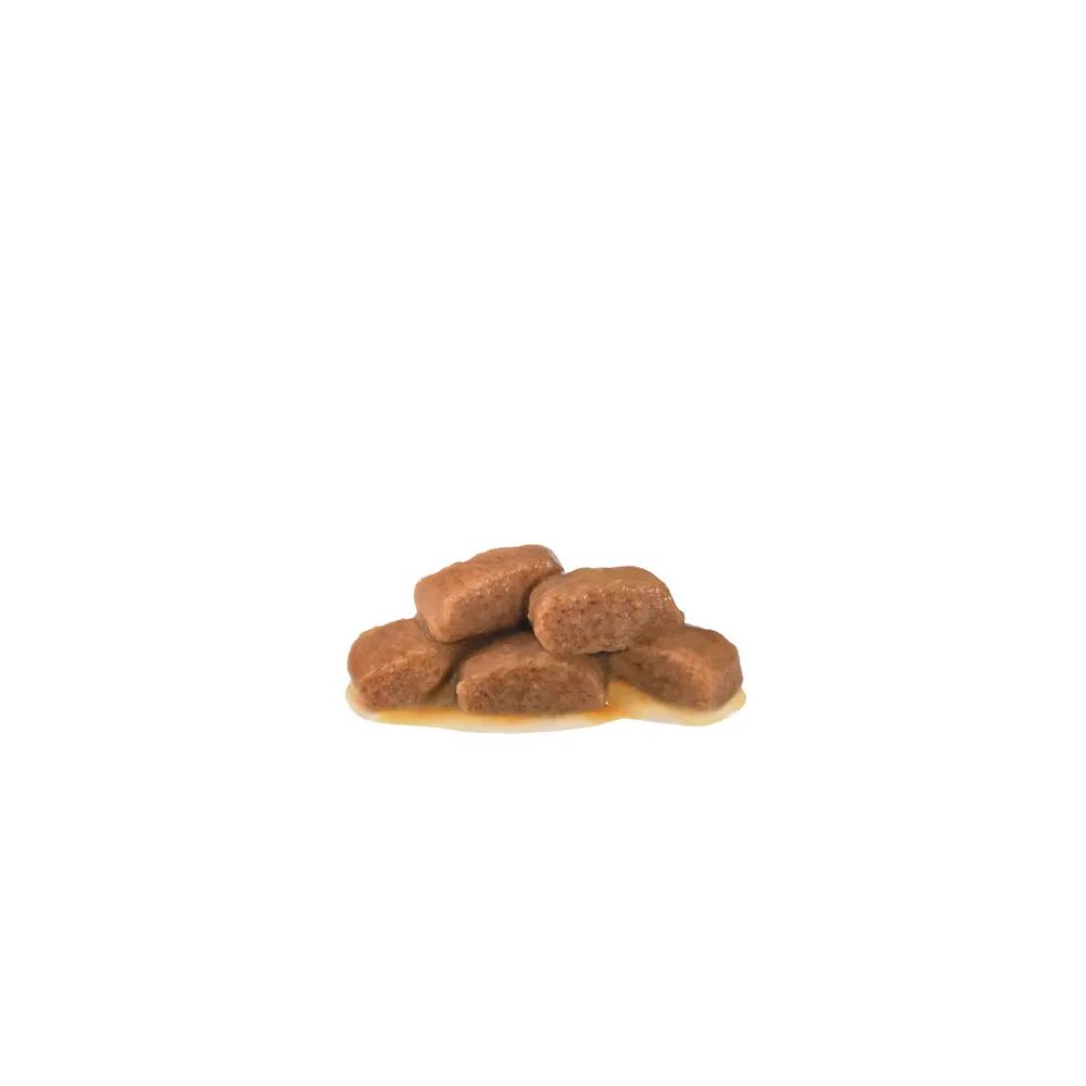 Royal Canin Gastrointestinal Feline In Gravy 85gr