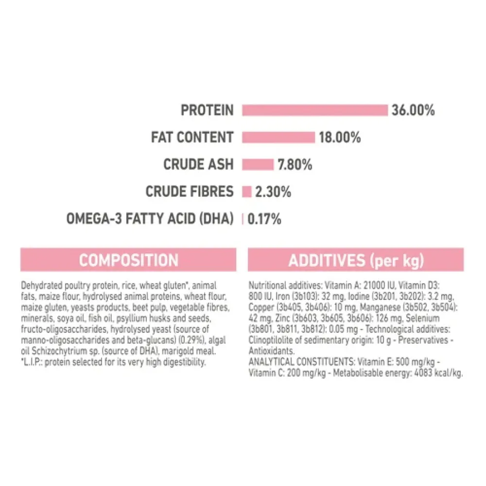 Royal Canin Kitten 2kg