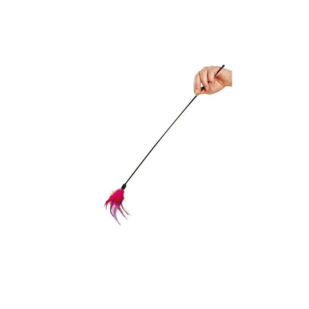 Karlie Feather Τeaser για Γάτες