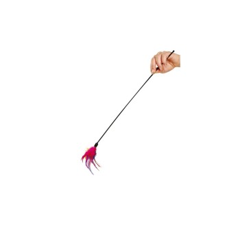 Karlie Feather Τeaser για Γάτες