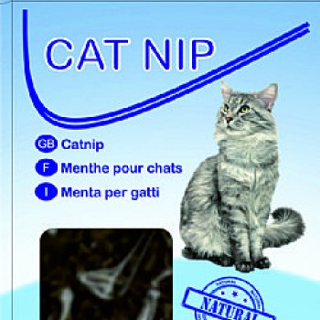 Cat Nip Box 30gr