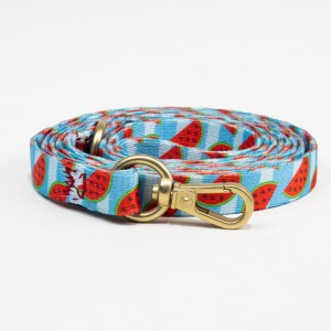 Habby Οδηγός Σκύλου Watermelon Small 10mm x 110cm