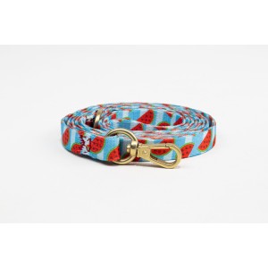 Habby Οδηγός Σκύλου Watermelon Small 10mm x 110cm