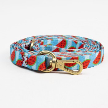 Habby Οδηγός Σκύλου Watermelon Small 10mm x 110cm