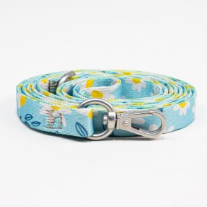 Habby Οδηγός Σκύλου Margaret Small 10mm x 110cm