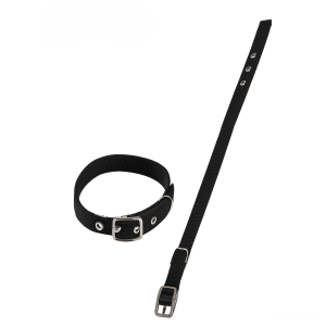 Pappet Περιλαίμιο ιμάντας διπλός 20mm x 50cm μαύρο