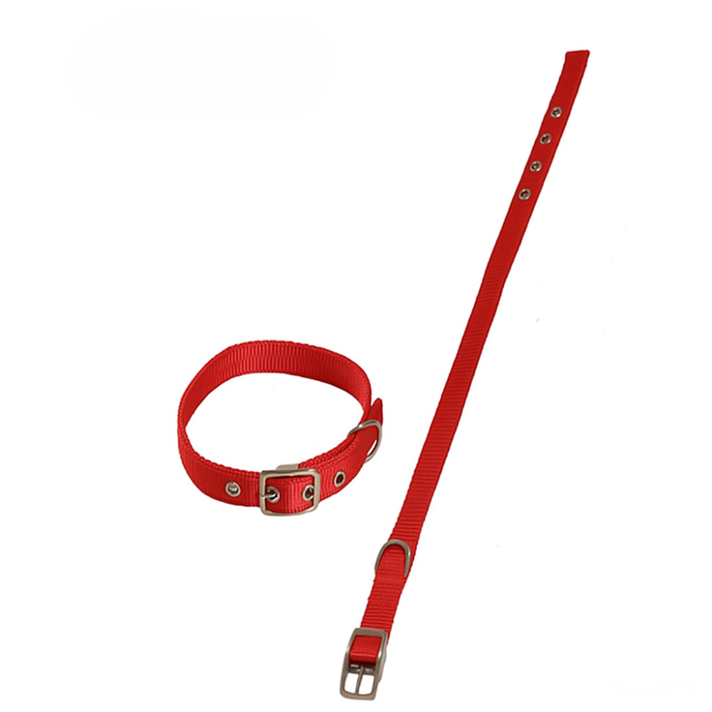 Pappet Περιλαίμιο ιμάντας διπλός 20mm x 50cm κόκκινο