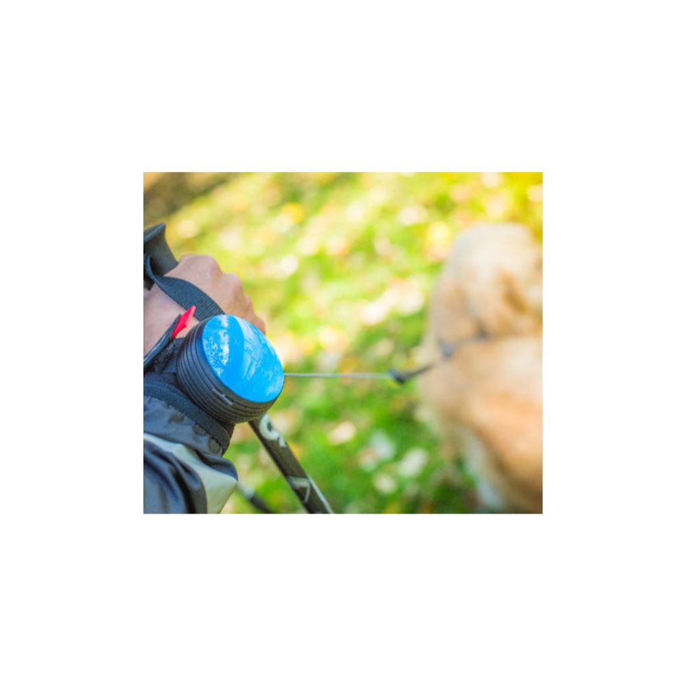 Lishinu Οδηγός Σκύλου Ιμάντας Small 6-12kg