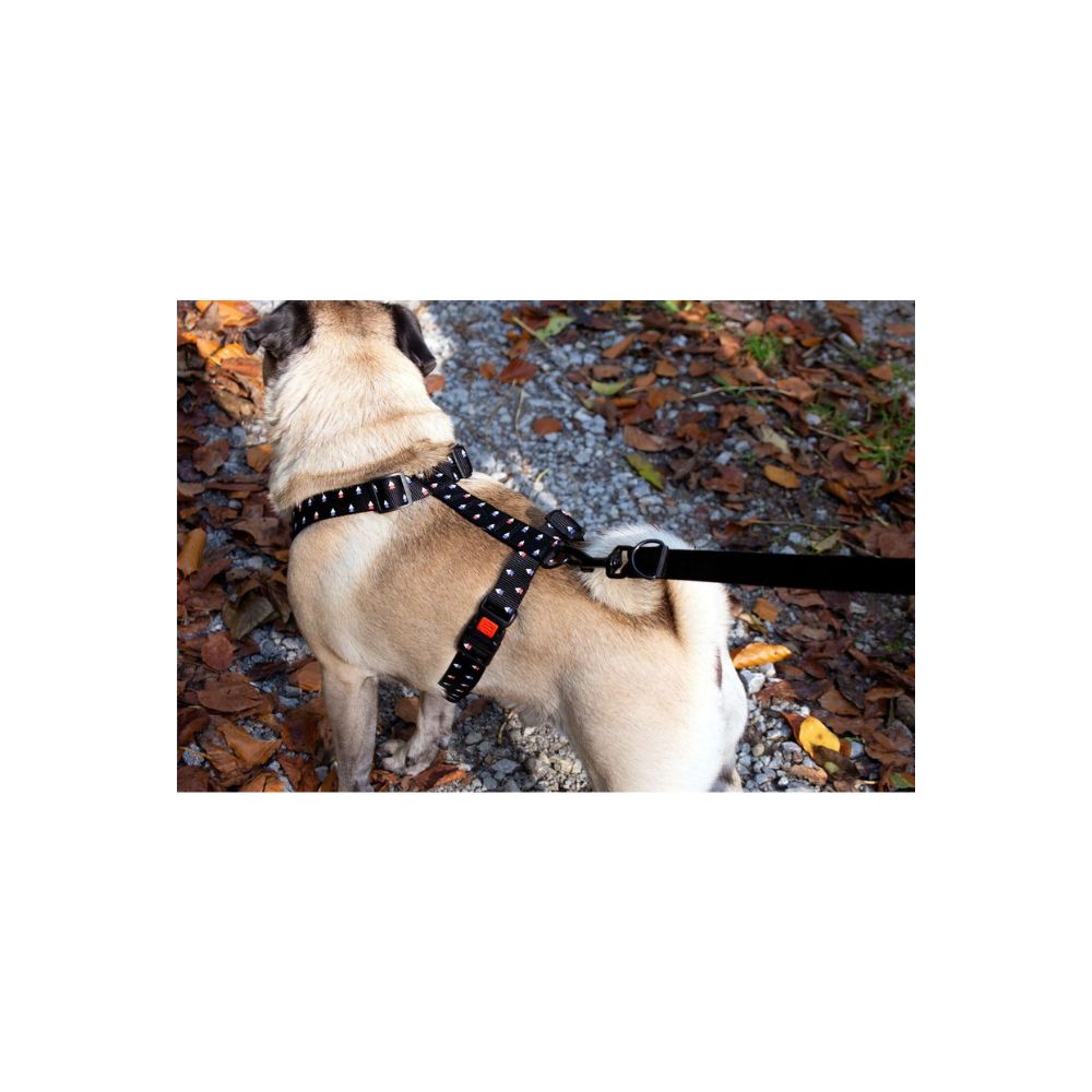 Karlie Art Sportiv Plus Σαμαράκι με Τυπωμένο Μοτίβο Mix & Match S 35-50cm x 15mm triangle