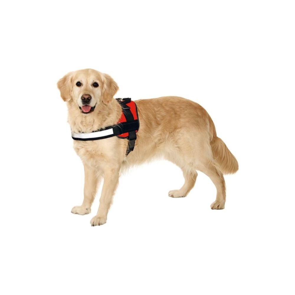 Karlie Xtreme No Limit Σαμαράκι Μ 65-77cm μαύρο