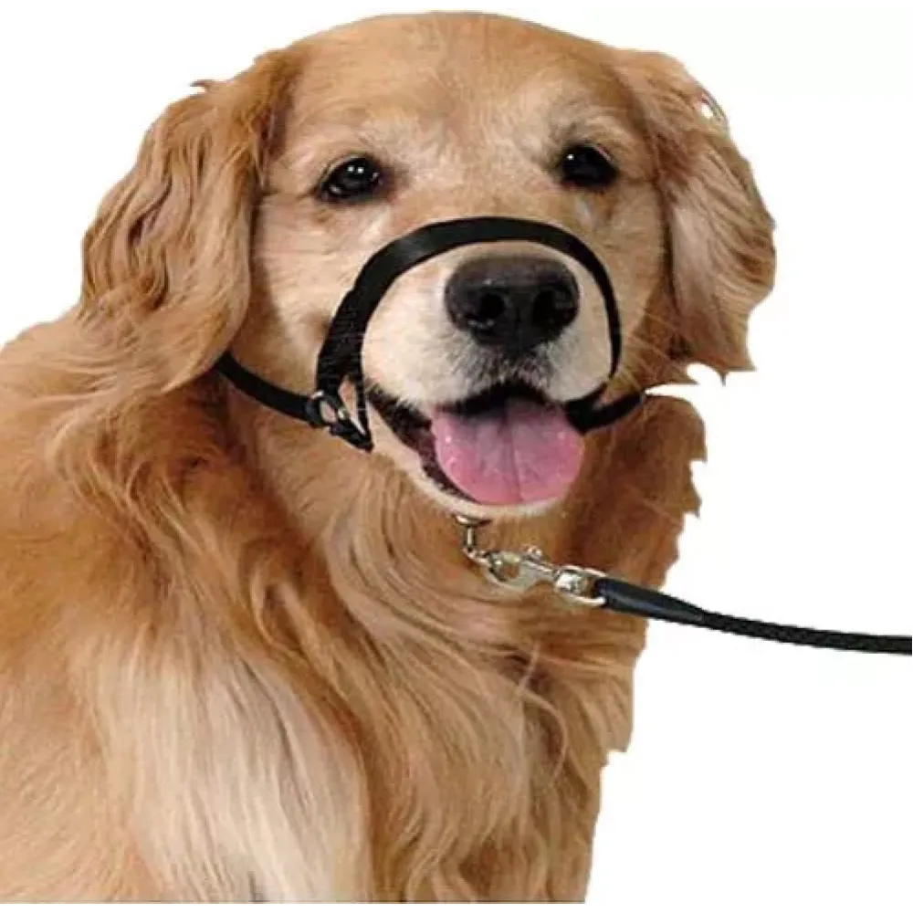 Karlie Εκπαιδευτικό λουρί Easy Leader για ήπιο έλεγχο M