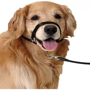 Karlie Εκπαιδευτικό λουρί Easy Leader για ήπιο έλεγχο M