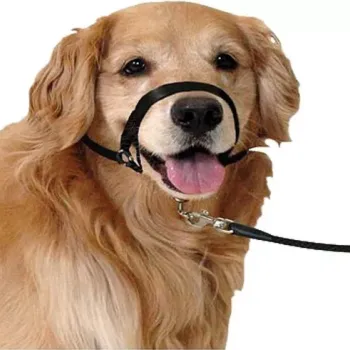 Karlie Εκπαιδευτικό λουρί Easy Leader για ήπιο έλεγχο M