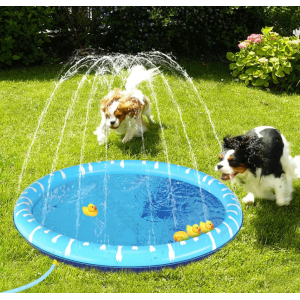 Water Splash Pad Σιντριβάνι-Πισίνα Σκύλου 100cm