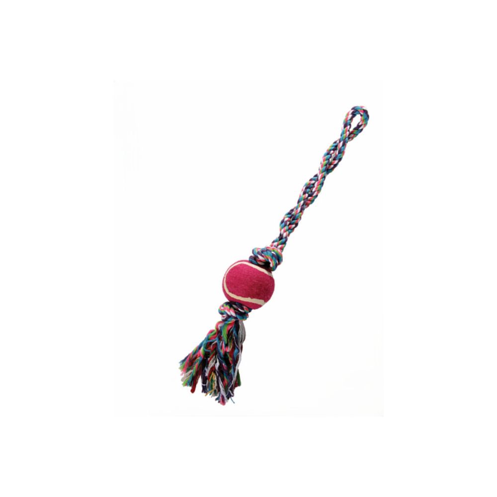 Εκπαιδευτικό παιχνίδι σκύλου τύπου Α