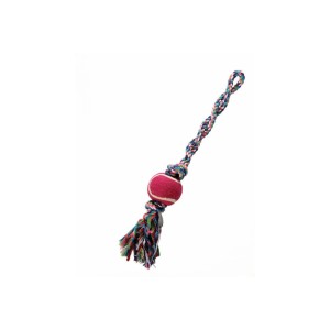 Εκπαιδευτικό παιχνίδι σκύλου τύπου Α