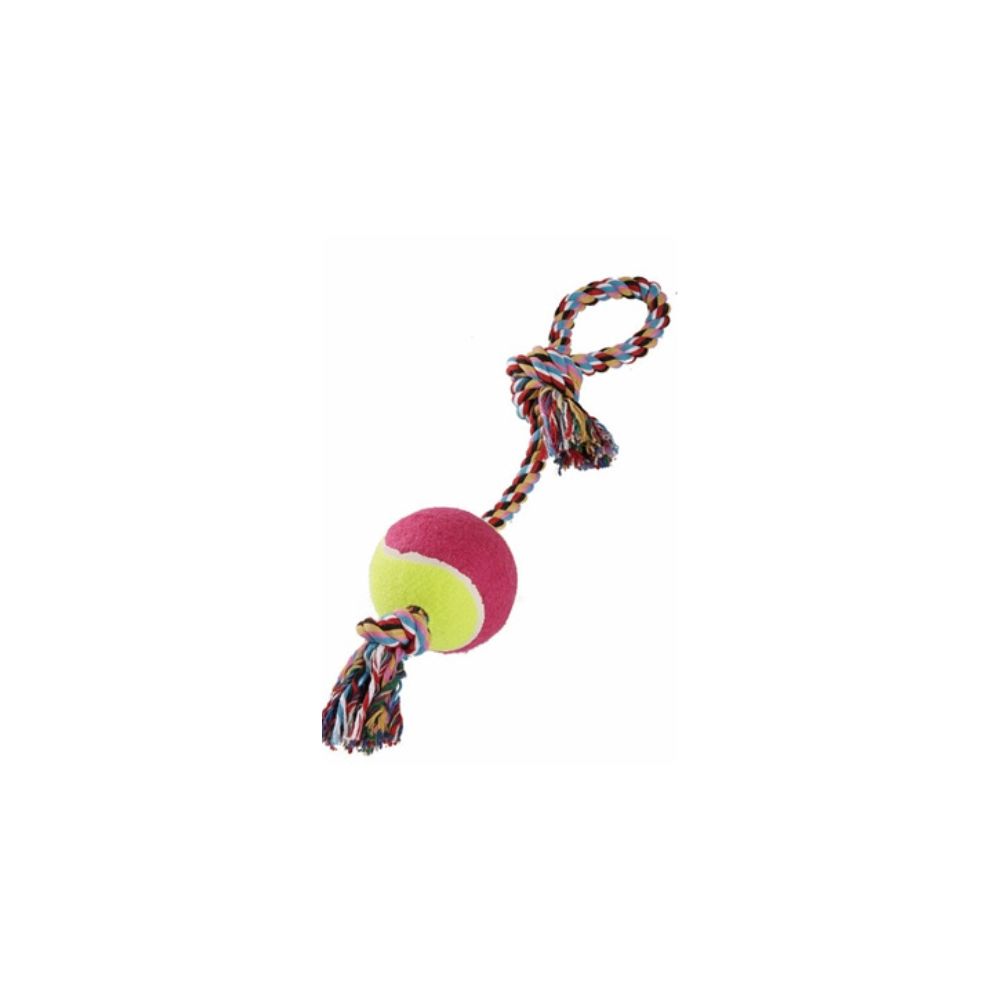 Εκπαιδευτικό παιχνίδι σκύλου τύπου Ε