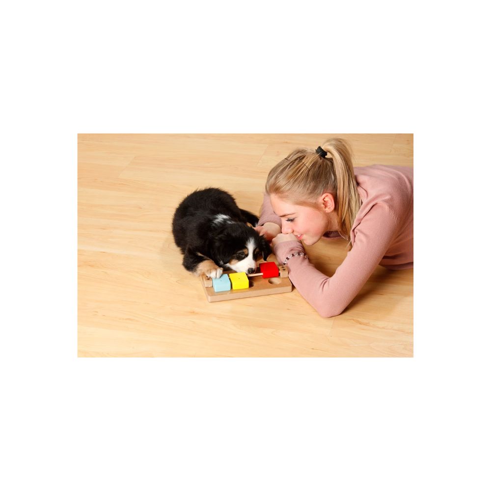 Karlie Doggy Brain Train Rocky - Διαδραστικό Παιχνίδι Νοητικής Εκπαίδευσης για σκύλους