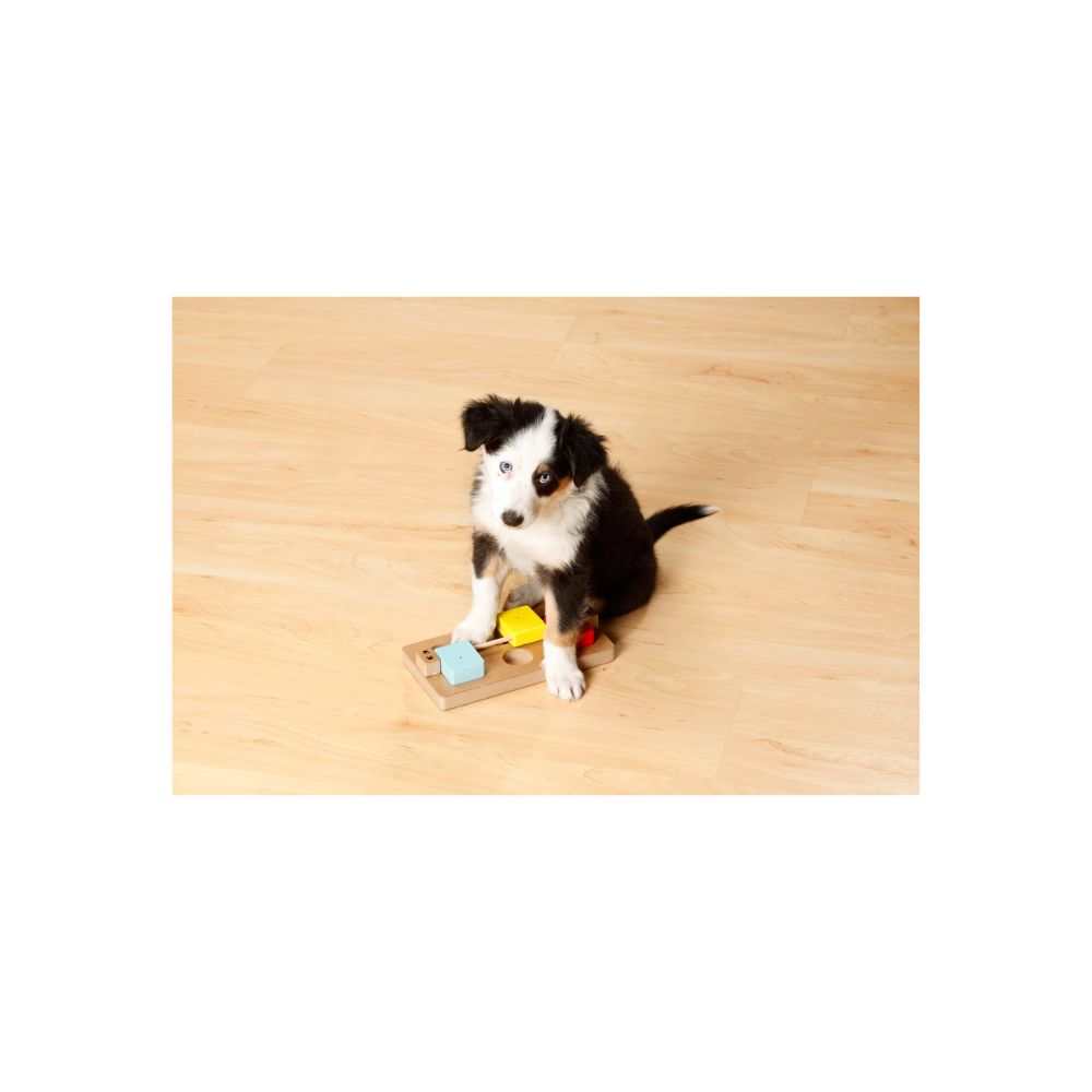 Karlie Doggy Brain Train Rocky - Διαδραστικό Παιχνίδι Νοητικής Εκπαίδευσης για σκύλους