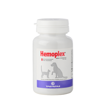 Tafarm Hemoplex καταπολέμηση της αναιμίας 50 tabs