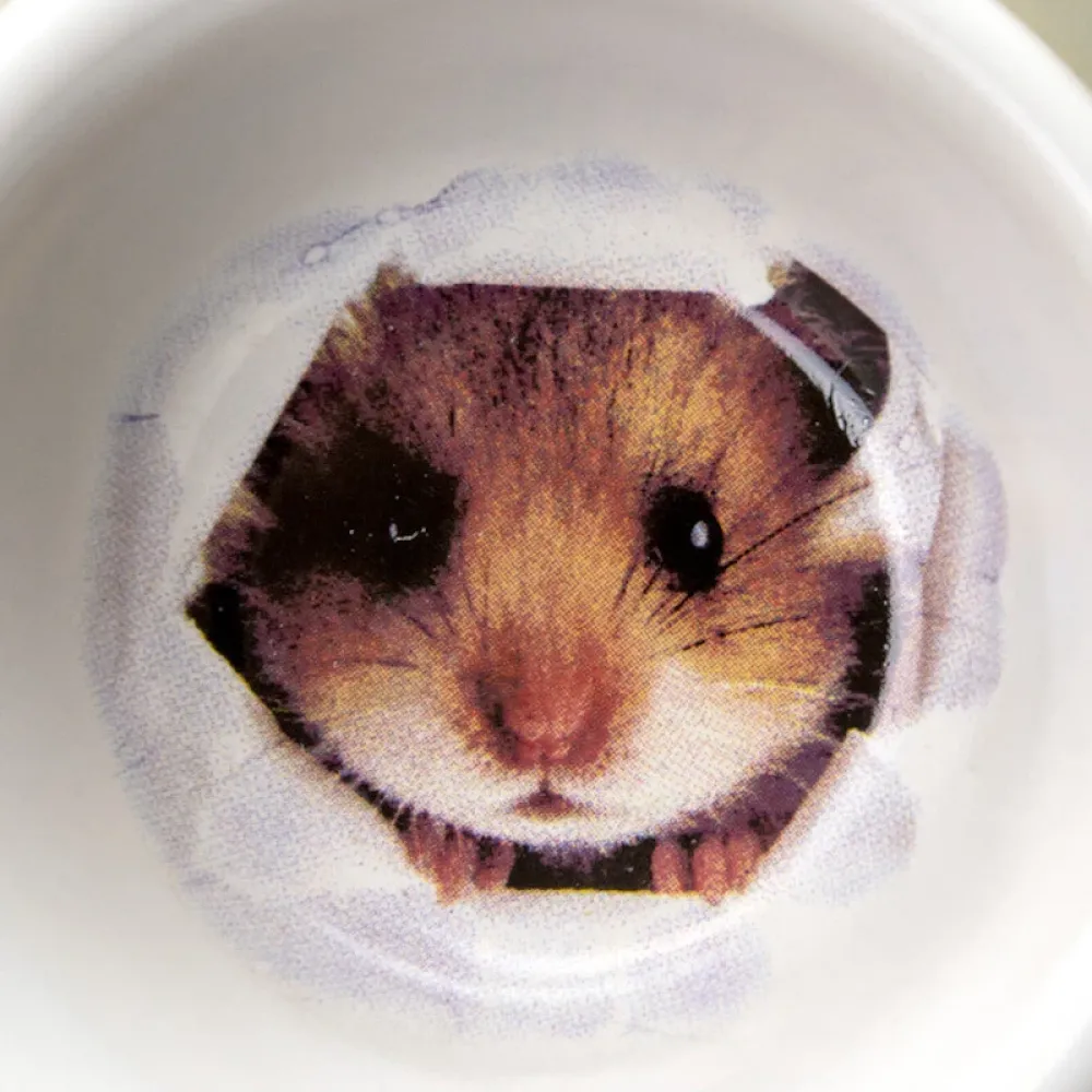 Karlie Κεραμική Ποτίστρα/Ταΐστρα για τρωκτικά 50ml 