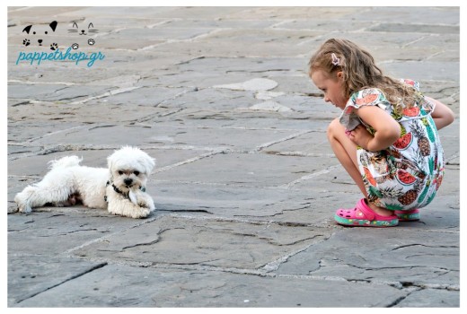 Μεγαλώνοντας μαζί με κατοικίδιο 