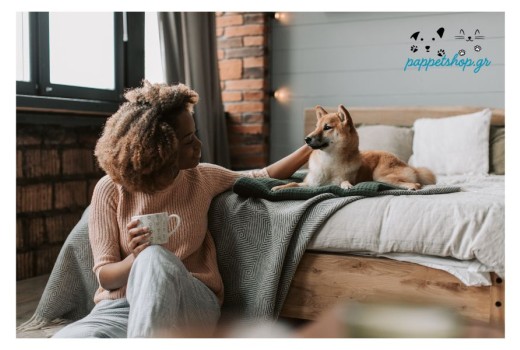 Γιατί να Αποκτήσεις Κατοικίδιο: Μια Απόφαση που Μπορεί να Αλλάξει τη Ζωή σου