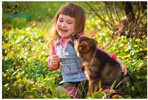 New Η Άνοιξη Μυρίζει Βόλτες, Παιχνίδια και Πατουσάκια