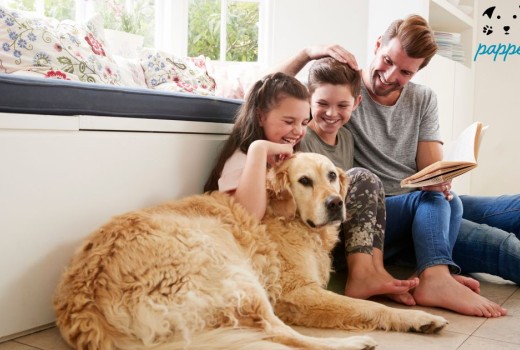 Τι σημαίνει “κτηνιατρικά εγκεκριμένο”;