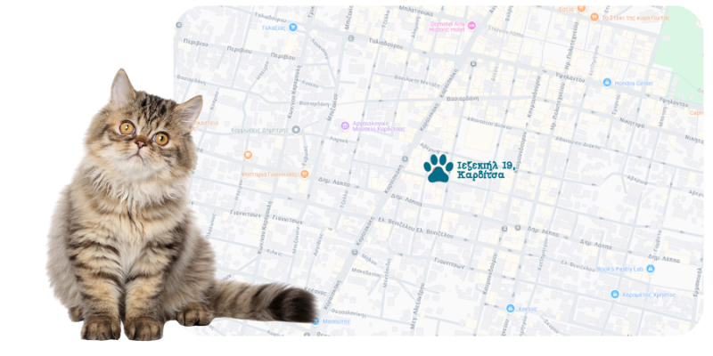 Pappetshop Ιεζεκιήλ