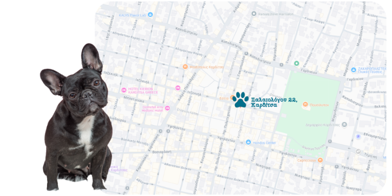 Pappetshop Παλαιολόγου